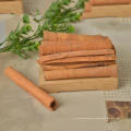 Chinesische Zimtstange (Cassia Stick)